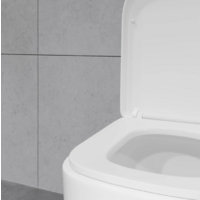 Lauter Rimless 21D2203 Image #7