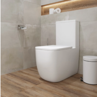 Lauter Rimless 21D2203 Image #10