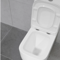 Lauter Rimless 21D2203 Image #6