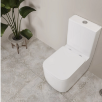 Lauter Rimless 21D2203 Image #11