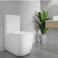 Lauter Rimless 21D2203 Image #8