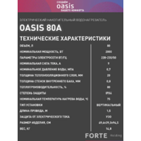 Oasis 80А Image #8