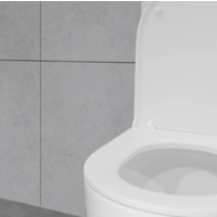 Lauter Rimless 21D2202 Image #9