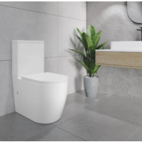 Lauter Rimless 21D2202 Image #11