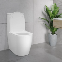 Lauter Rimless 21D2202 Image #10