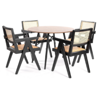 TetChair Loki дерево вяз/ротанг (2шт, черный) Image #13