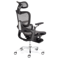 TetChair Sakura (сетка, серый) Image #2