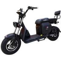 Smart Balance Sport Plus (2025) Image #1