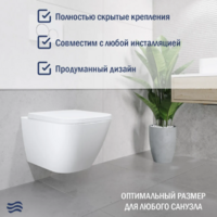 Lauter Nuremberg 21811 + 21901002 (белый, с кнопкой смыва 219701E хром) Image #13