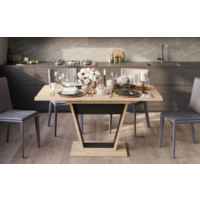 Трия Гавана тип 1 (дуб крафт золотой/черный) Image #9