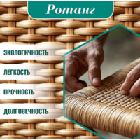 TetChair Cross 91x55x52 (дерево береза/груша №3) Image #12