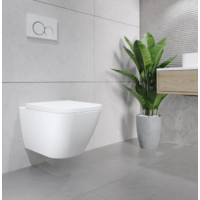 Lauter Nuremberg 21811 + 21901002 (белый, с кнопкой смыва 219704HD черный) Image #5