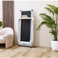 DFC T-ZT-Romeo Image #12