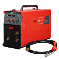 Fubag INMIG 250 T с горелкой FB 250 3 м / 31436.1