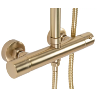 Rea Parot gold matt P2323 Image #4