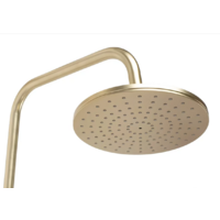 Rea Parot gold matt P2323 Image #8