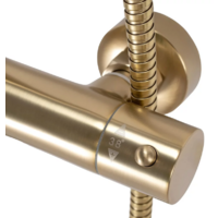 Rea Parot gold matt P2323 Image #6