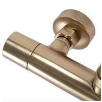 Rea Parot gold matt P2323 Image #5