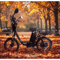 Exegol EXT20 Image #11