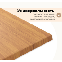 Sheffilton SHT-TU104/TT46 120/80 черный муар / золото / дуб  Image #3