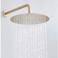 Rea Ontario gold matt P5502 Image #4