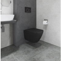 Lauter Nuremberg 21811B + 21901002 (черный, с кнопкой 219704F черный) Image #3