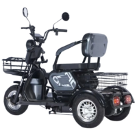 Terax Apki NS003 черный