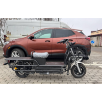 Terax Cargo ZG Image #15