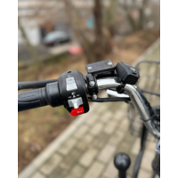 Terax Cargo ZG Image #13