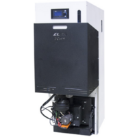 Zota Pony-15 Image #5