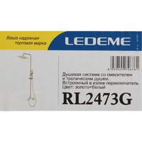 Ledeme L2473G Image #8