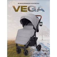 Rant Vega 2023 / RA057 (серый) Image #2