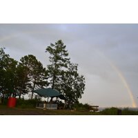 AlexikA Tarp / 9180.5401 (зеленый) Image #16