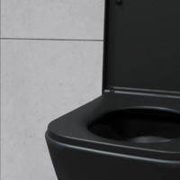 Lauter Nuremberg 21811B + 21901002 (черный, с кнопкой 219702J белый) Image #13